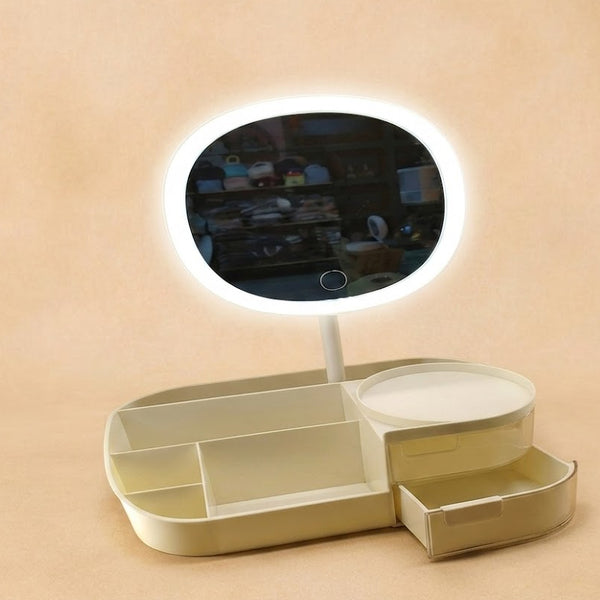 LED Makeup Organizer & Mirror