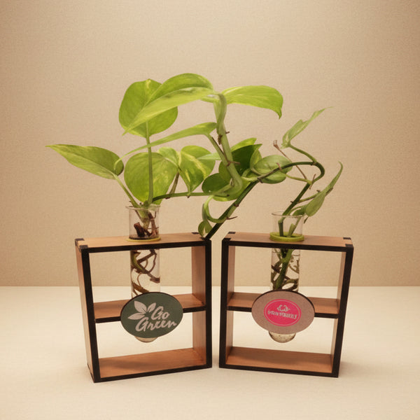 Premium Wooden Tabletop Plant Propagation Station (Set of 2)