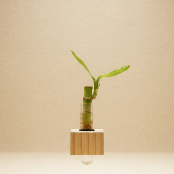 Minimalist Wooden Magnetic Propagation Station | Single Tube Plant Planter